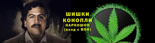гидропоника Алексеевка